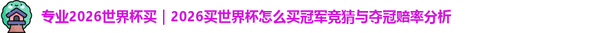 2026世界杯买